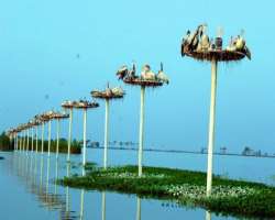 In the year 1999, the lake was announced as the Wildlife Sanctuary under the act Wildlife Protection Act 1972.